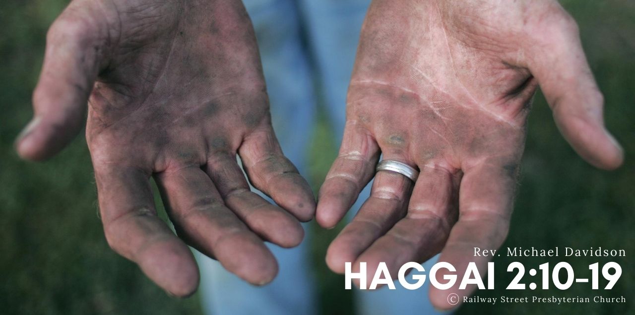 Haggai 2:10-19