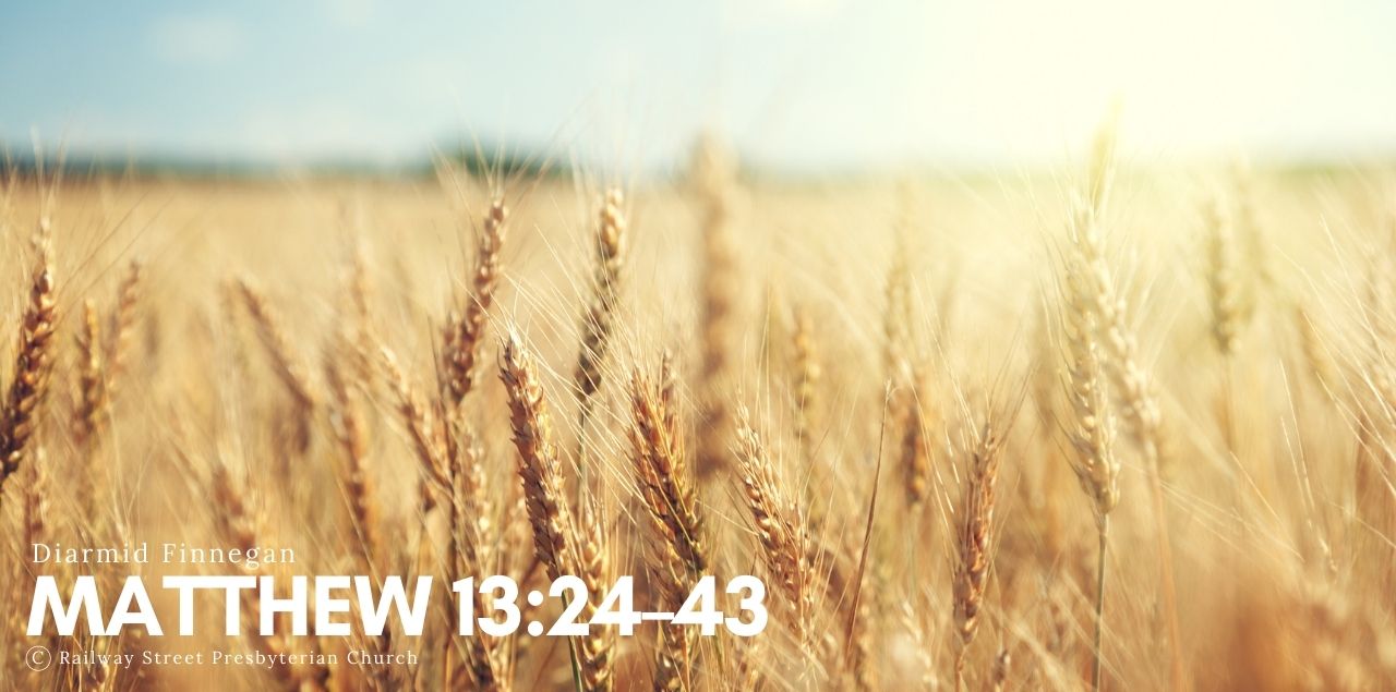 Matthew 13:24-30 & 36-43